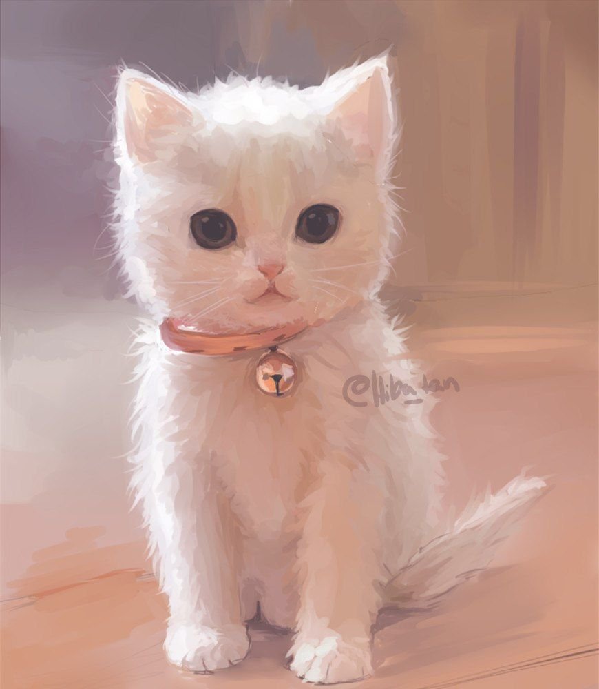 Мордочки котиков