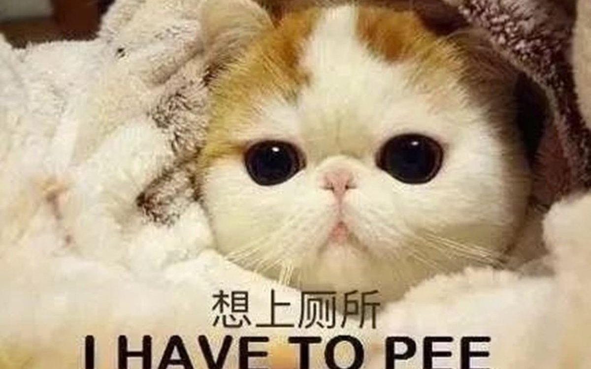 Рихард Донскис художник