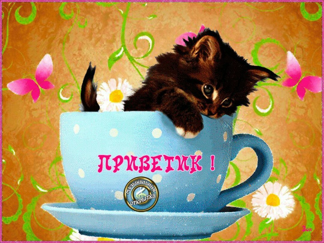 Сладкого дня