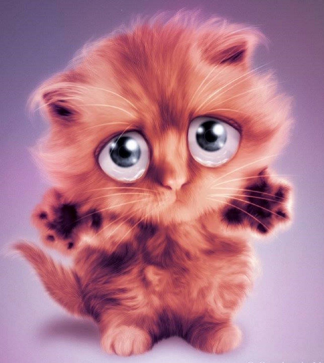 Котик с большими глазами
