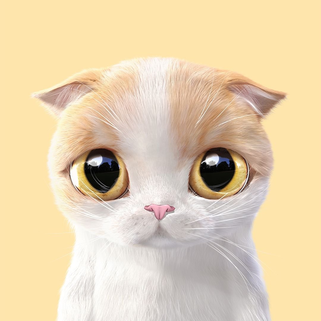 Самый милый котик в мире