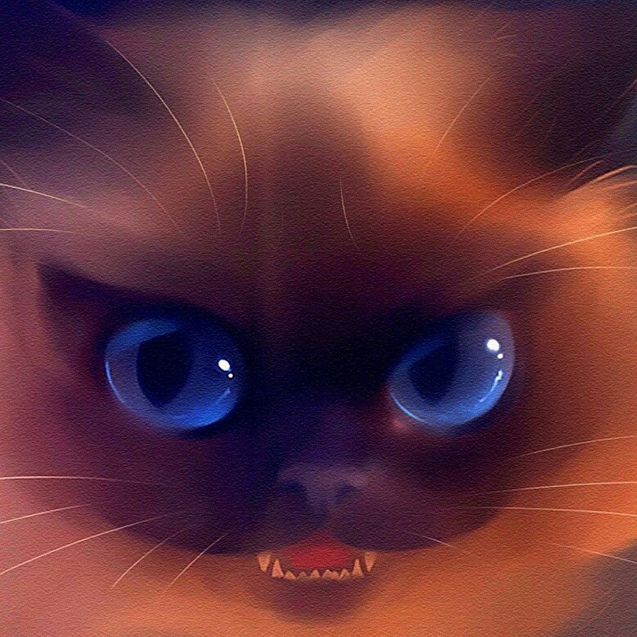 Порода кошек с большими глазами