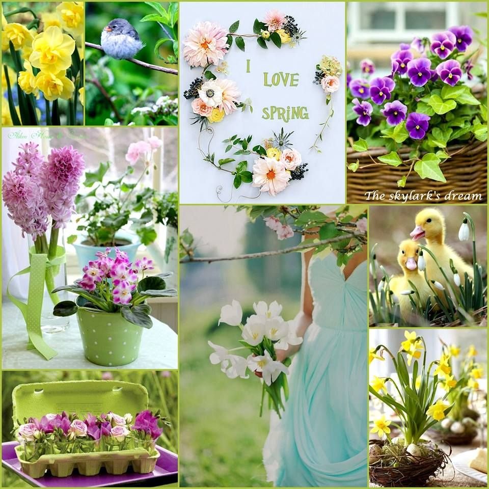 Весенние цветы коллаж