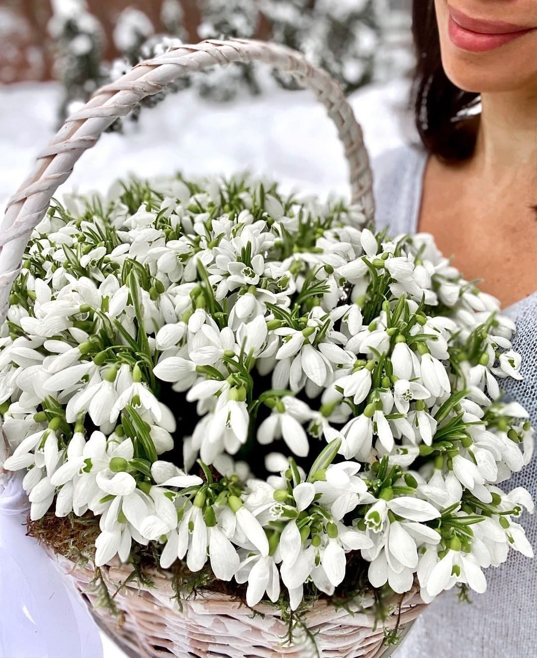 Весна под снегом