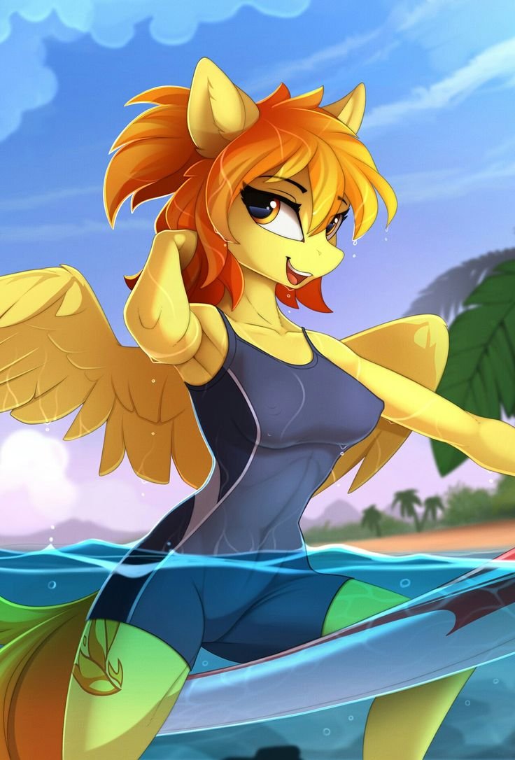 MLP anthro