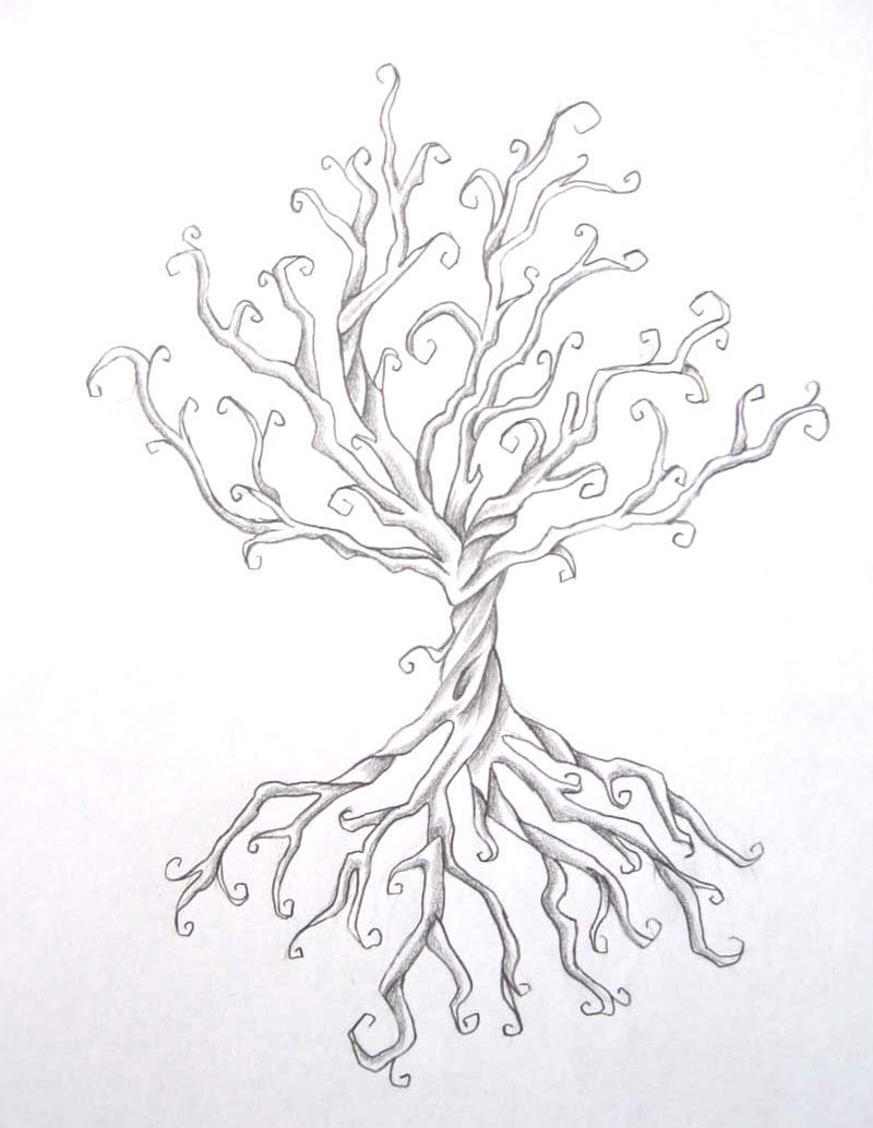 Эскизные деревья