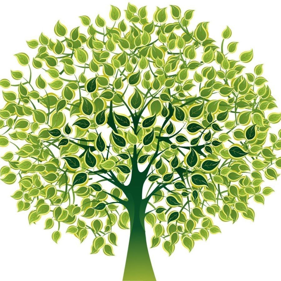 Красивое дерево для родословной