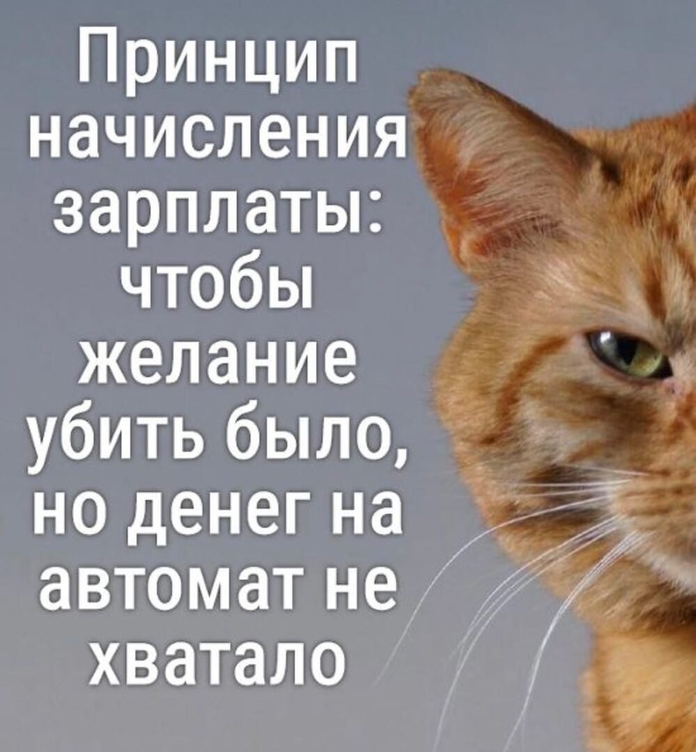 Зарплата картинки прикольные