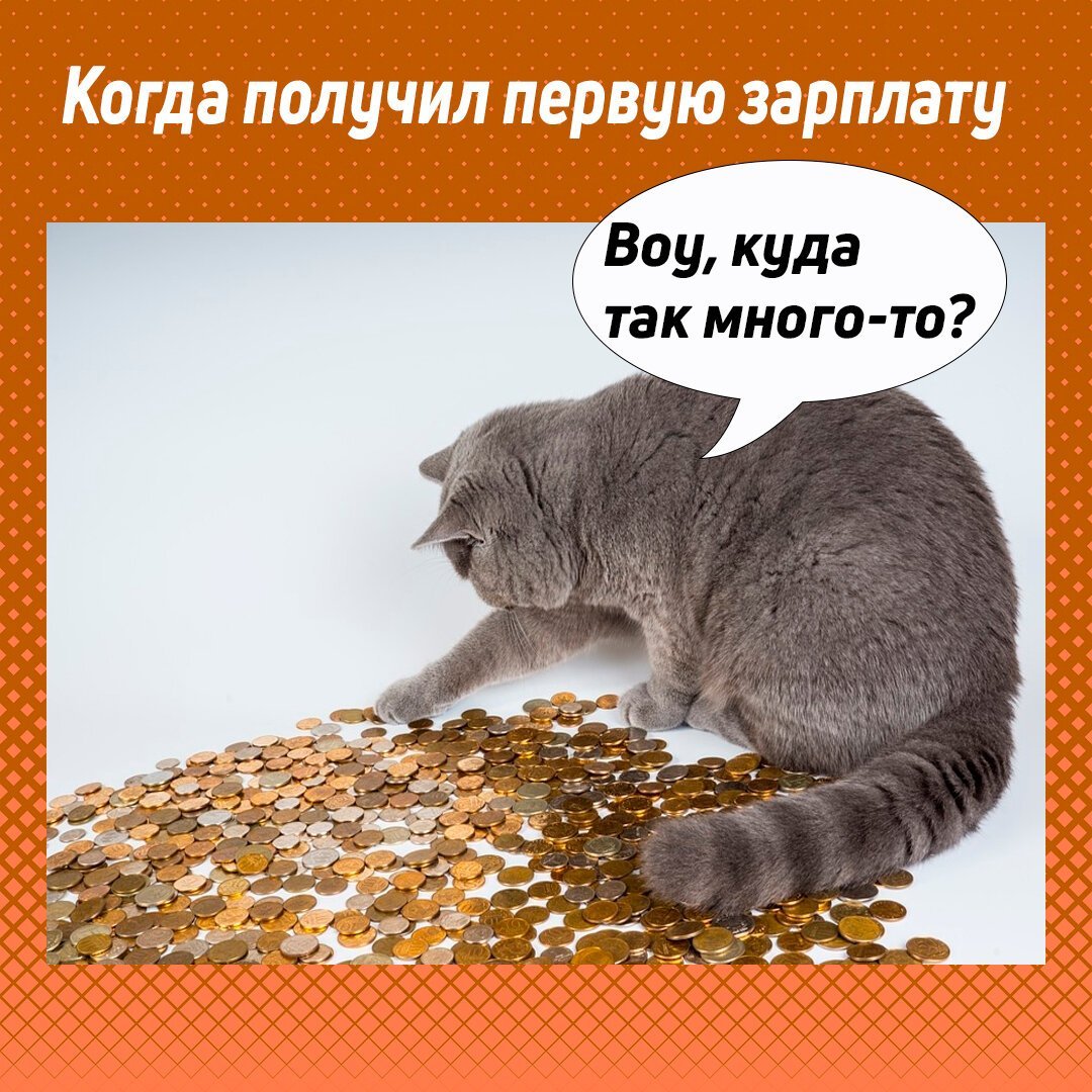 Анекдоты про работу самые смешные