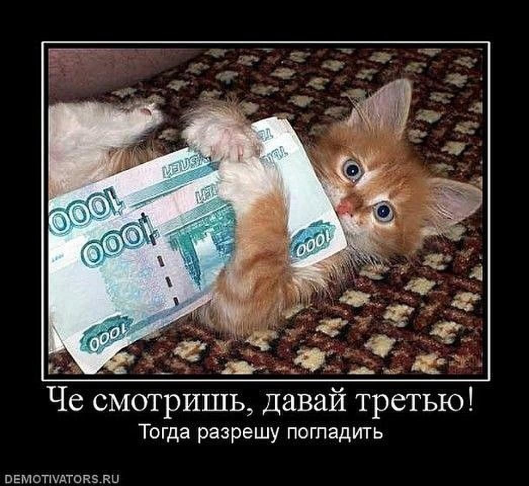 Рост зарплат карикатура