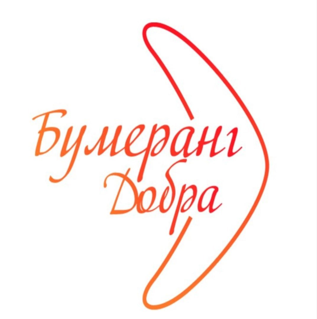 Волонтерский отряд Бумеранг эмблема