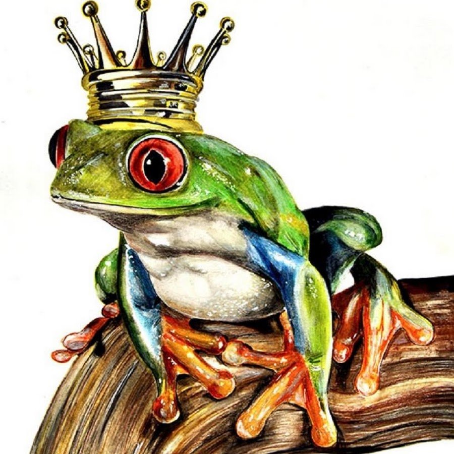 Жаба цветными карандашами