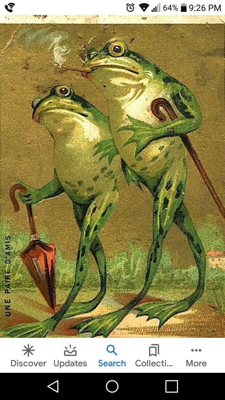 Лягушка рисунок