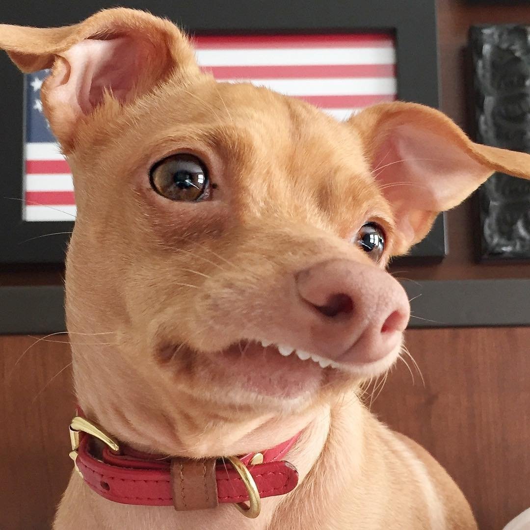 Чивини Туна