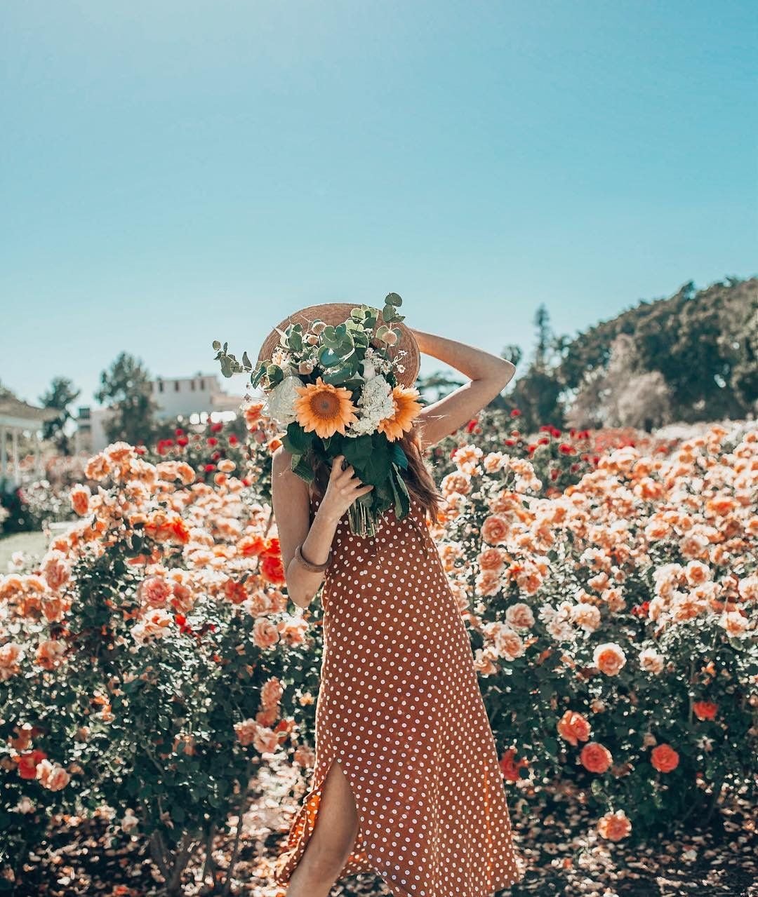 Доброе утро для сторис