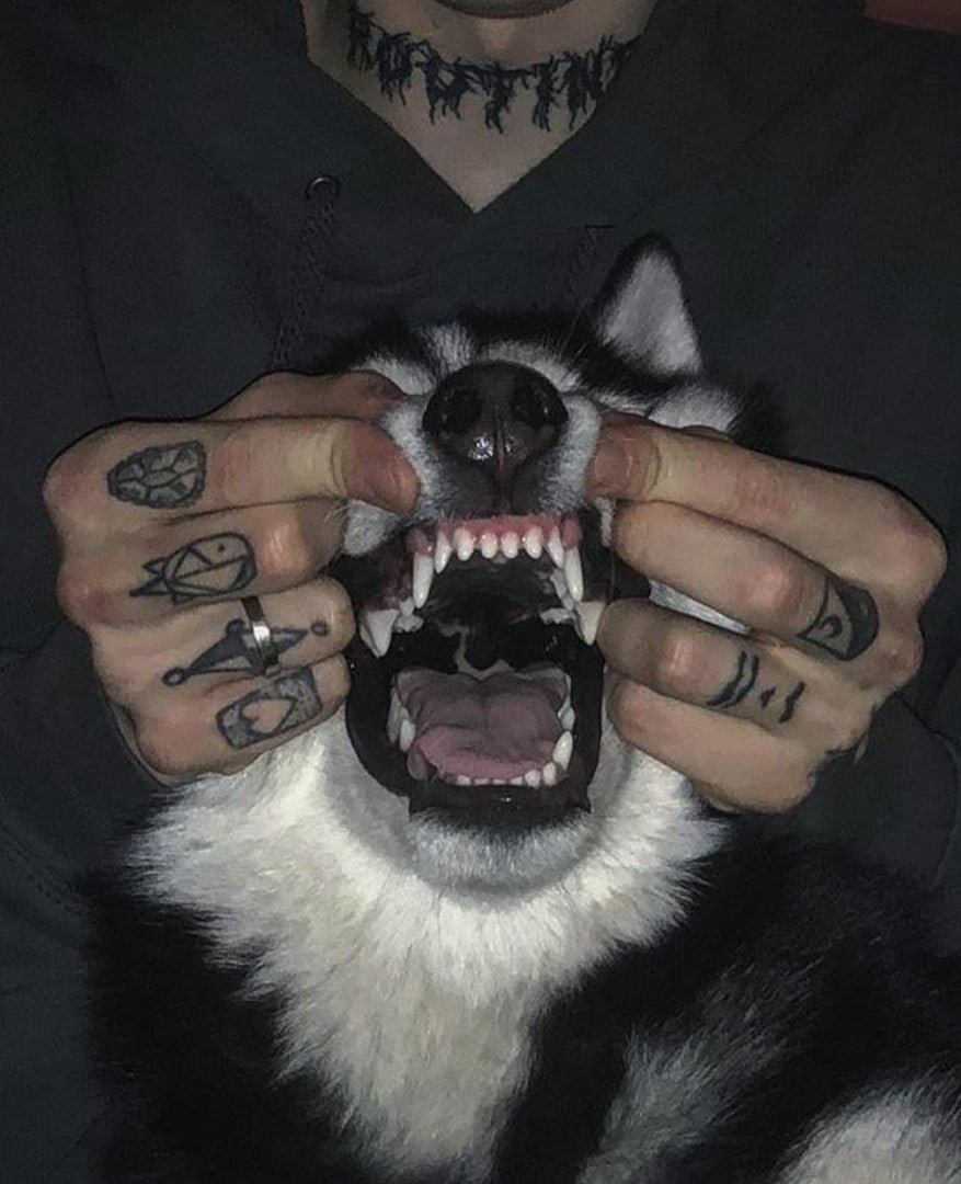 Зубная щётка для собак