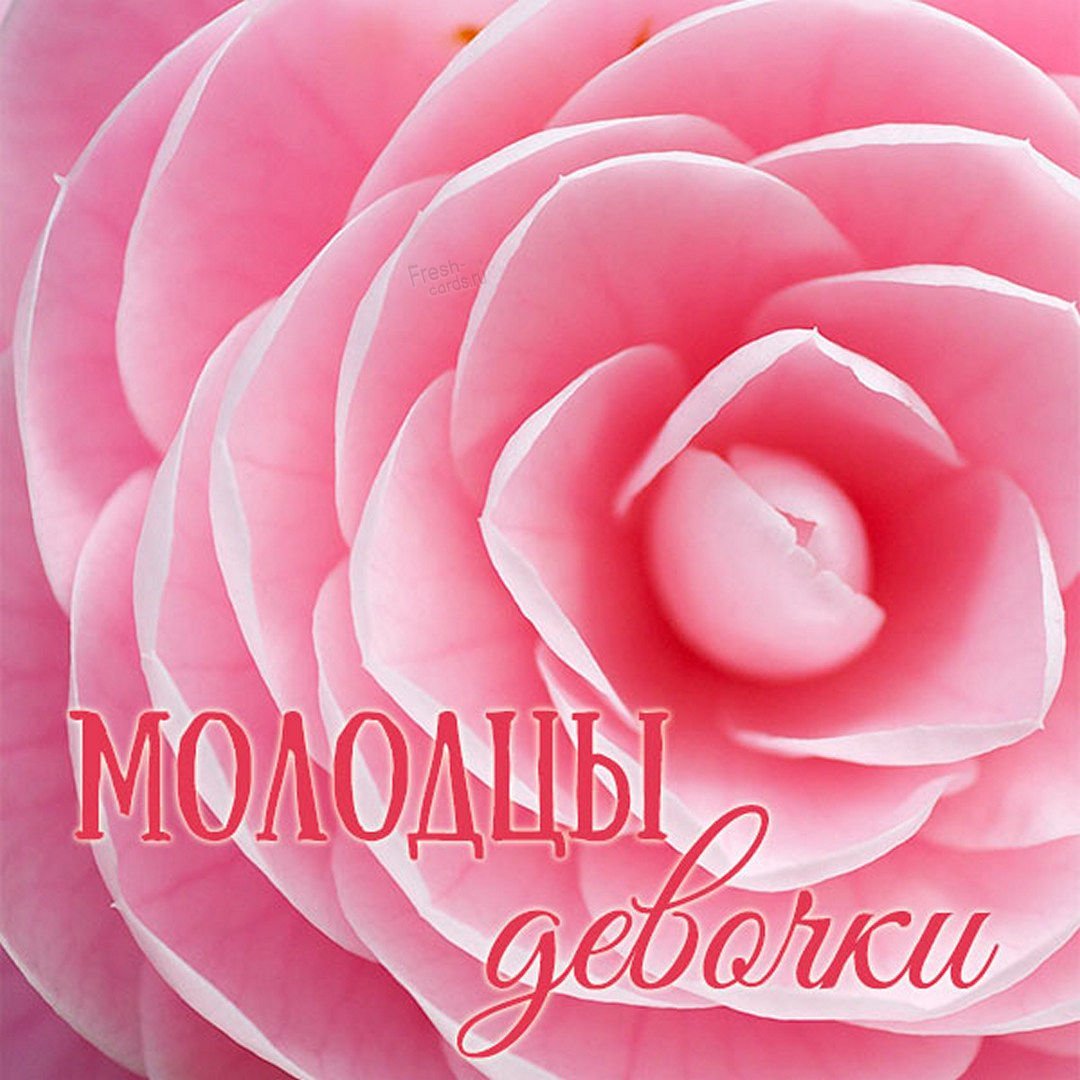 Молодцы девчонки