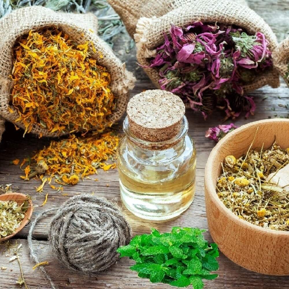 Сбор лечебных трав