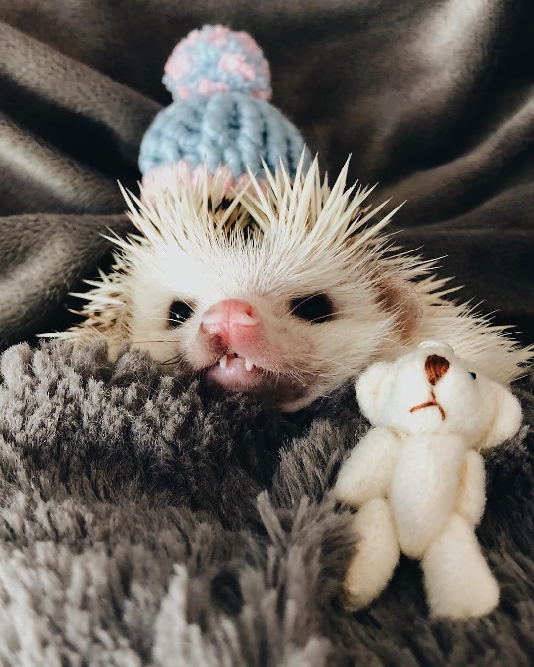 Смешной Ежик