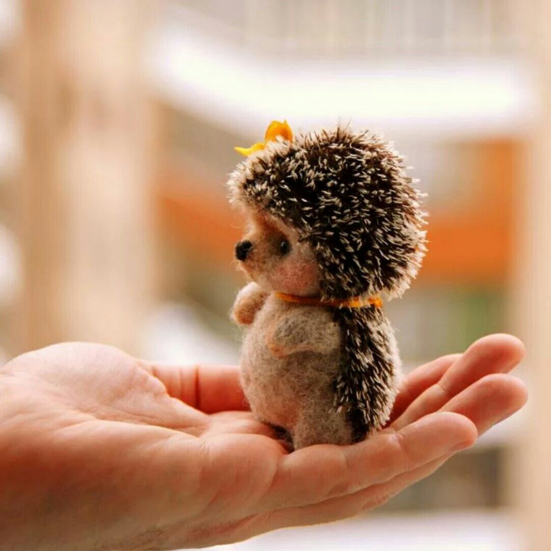 Игрушка милый Ежик