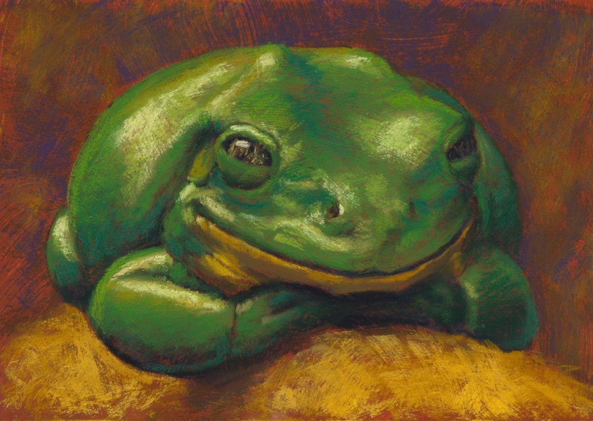 Лягушка съедобная (Rana esculenta)