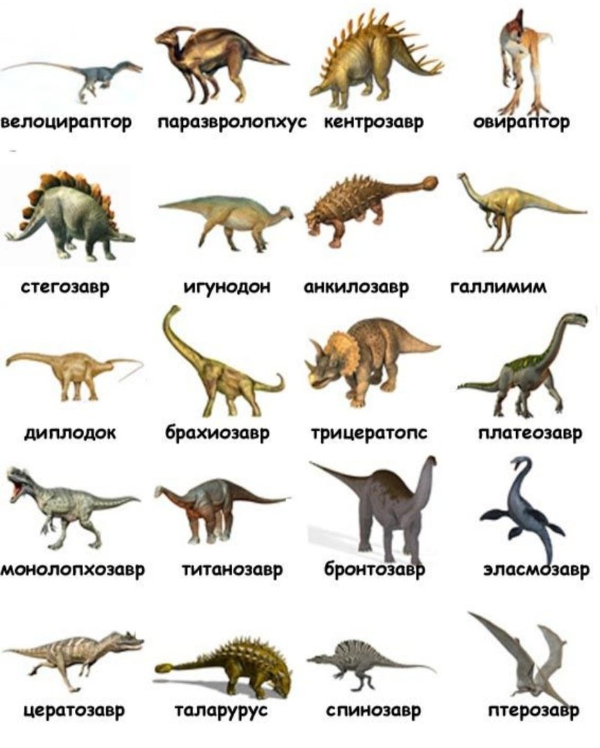 Диплодок Брахиозавр Спинозавр