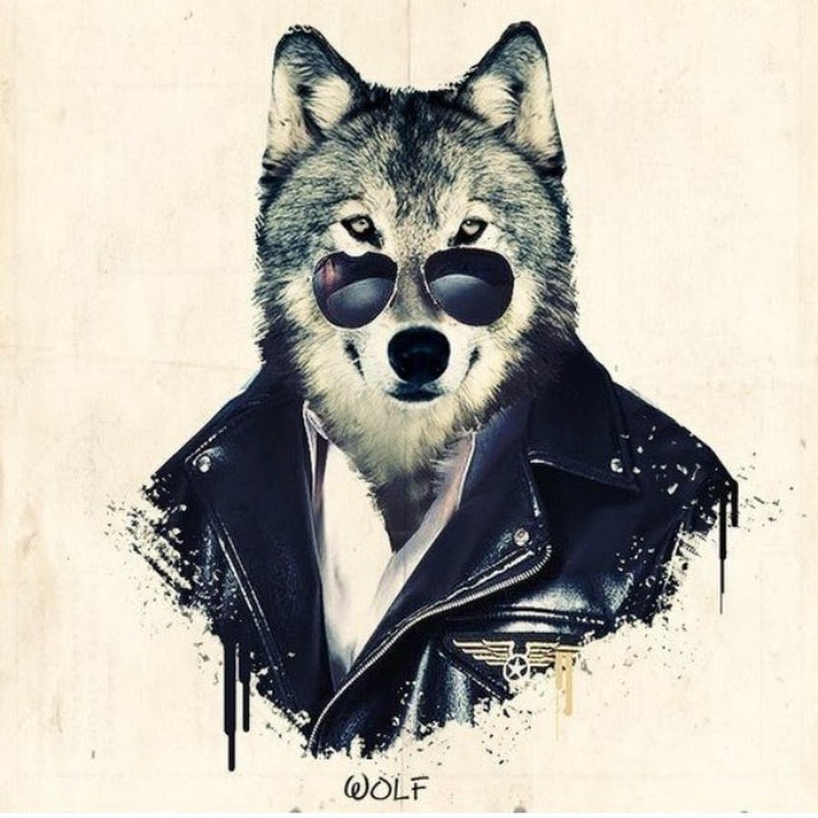 Волк с волчатами