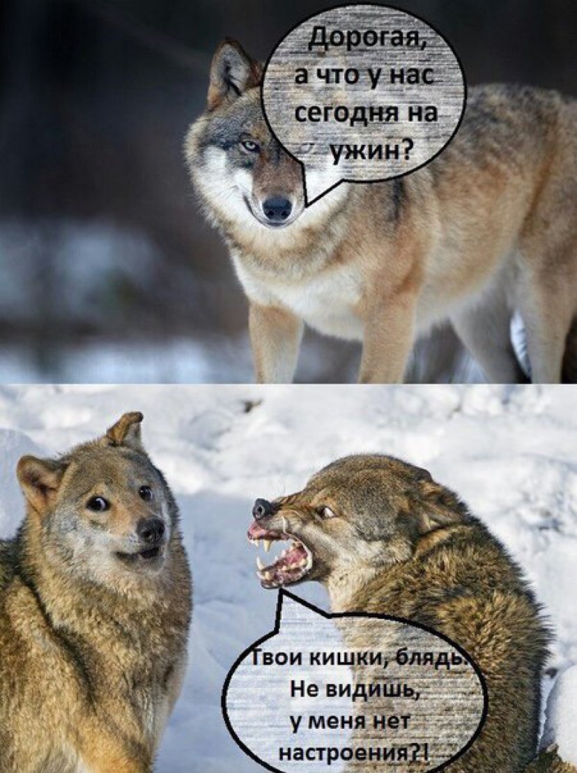 Приветствие животных