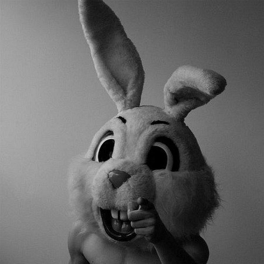 Кролик в шапке Деда Мороза