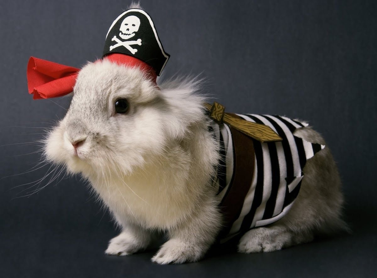 Форма "кролик"