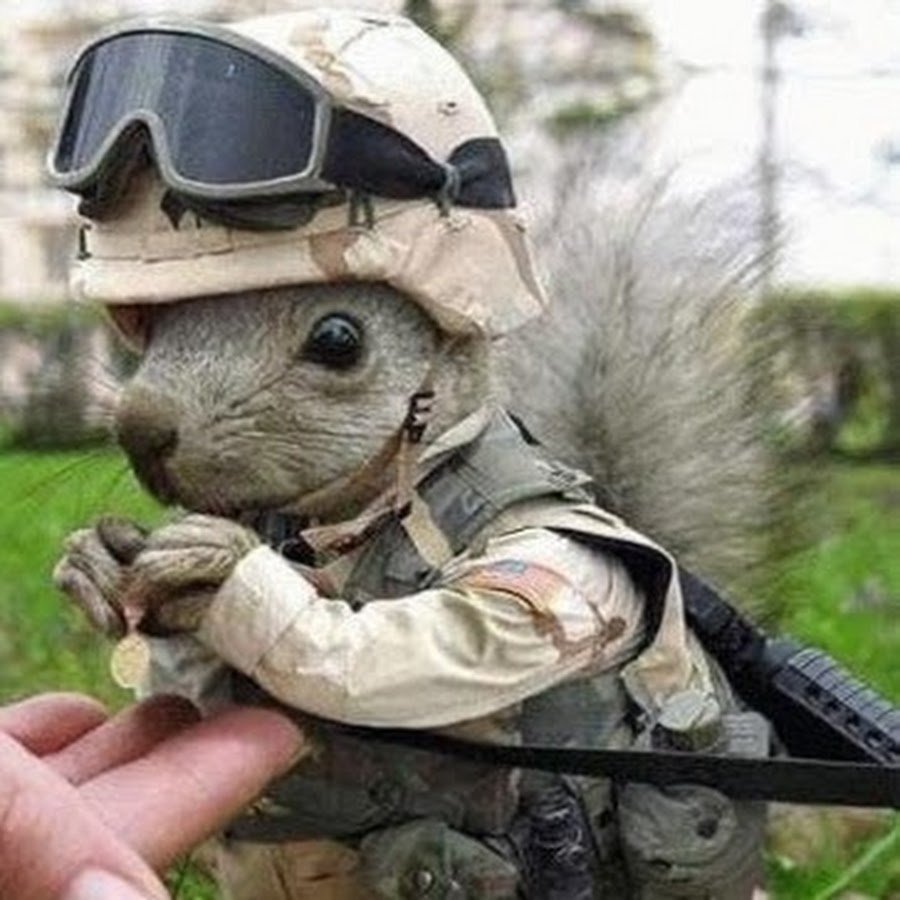 Багз Банни Supreme