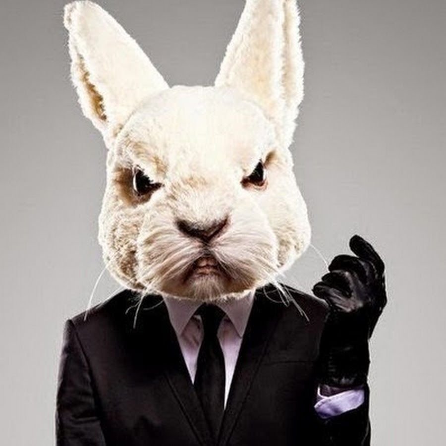 Misfits кролик