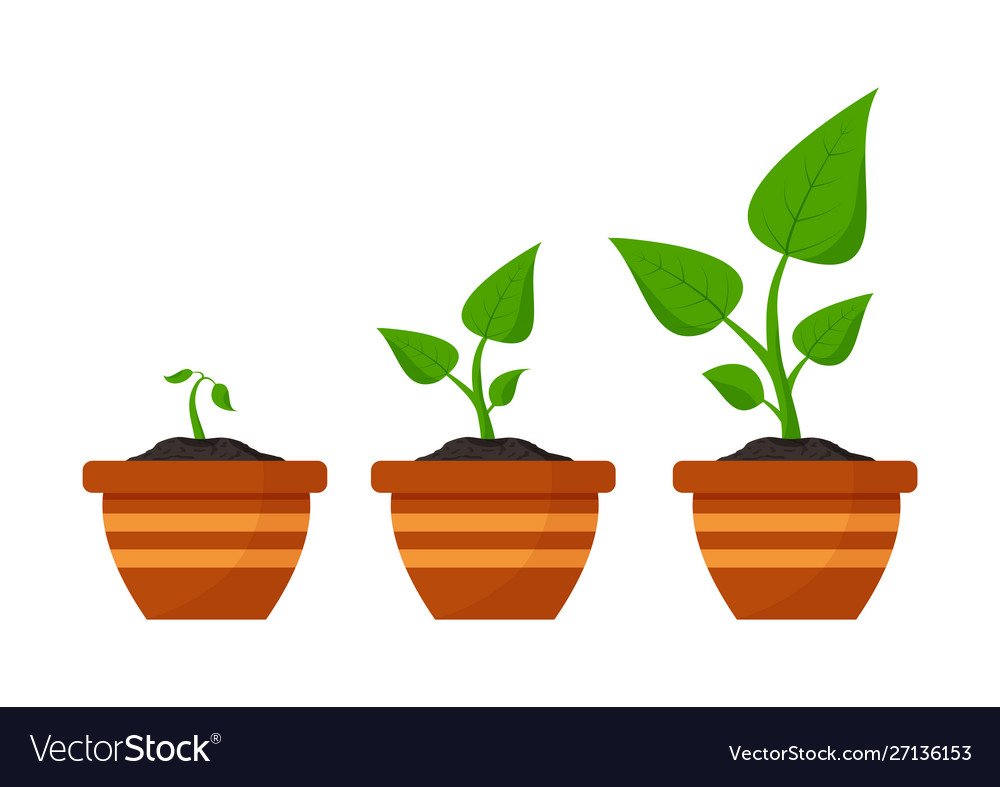 Горшок с землей в векторе