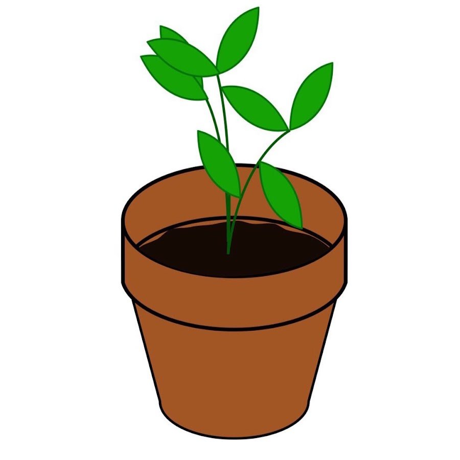 Стебель в горшочке