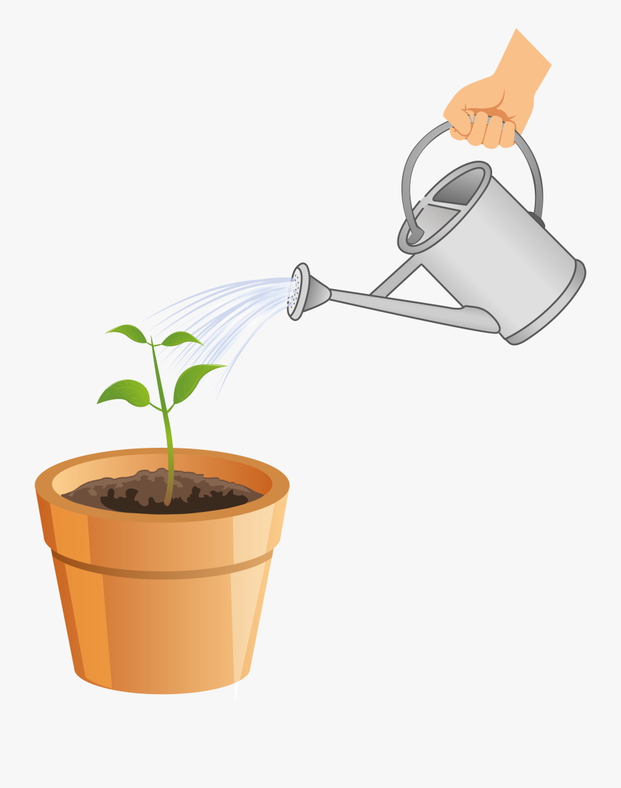 Полив растений для детей