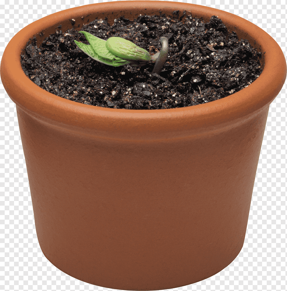 Горшок с землей