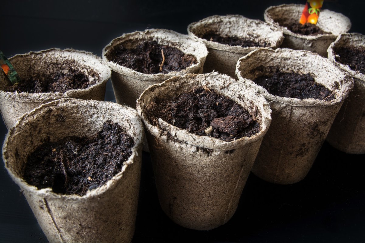 Горшок с землей