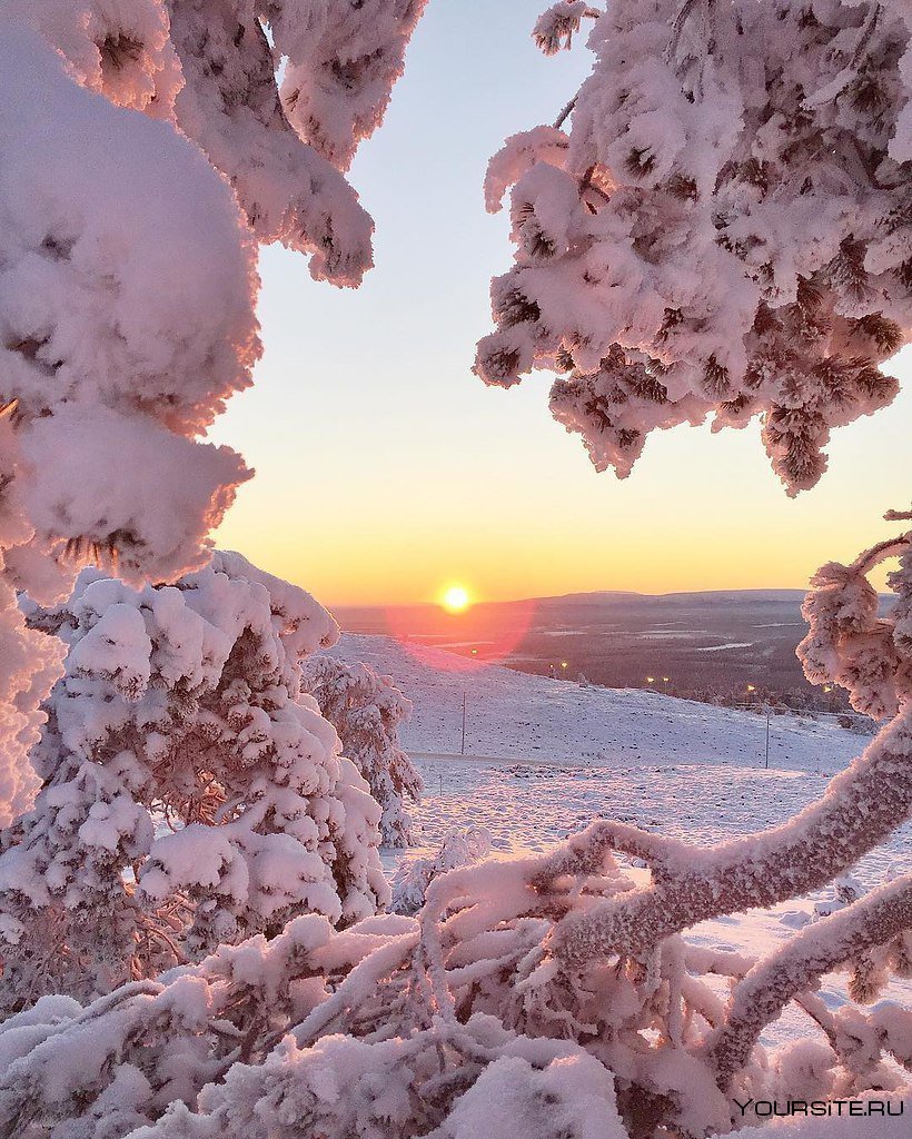 Снежное утро