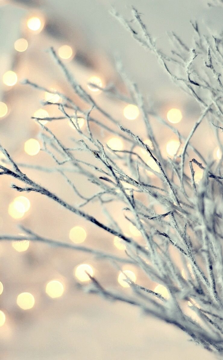 Нежность зимой