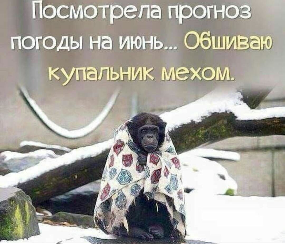 Катырева Светлана Юрьевна Добрянка