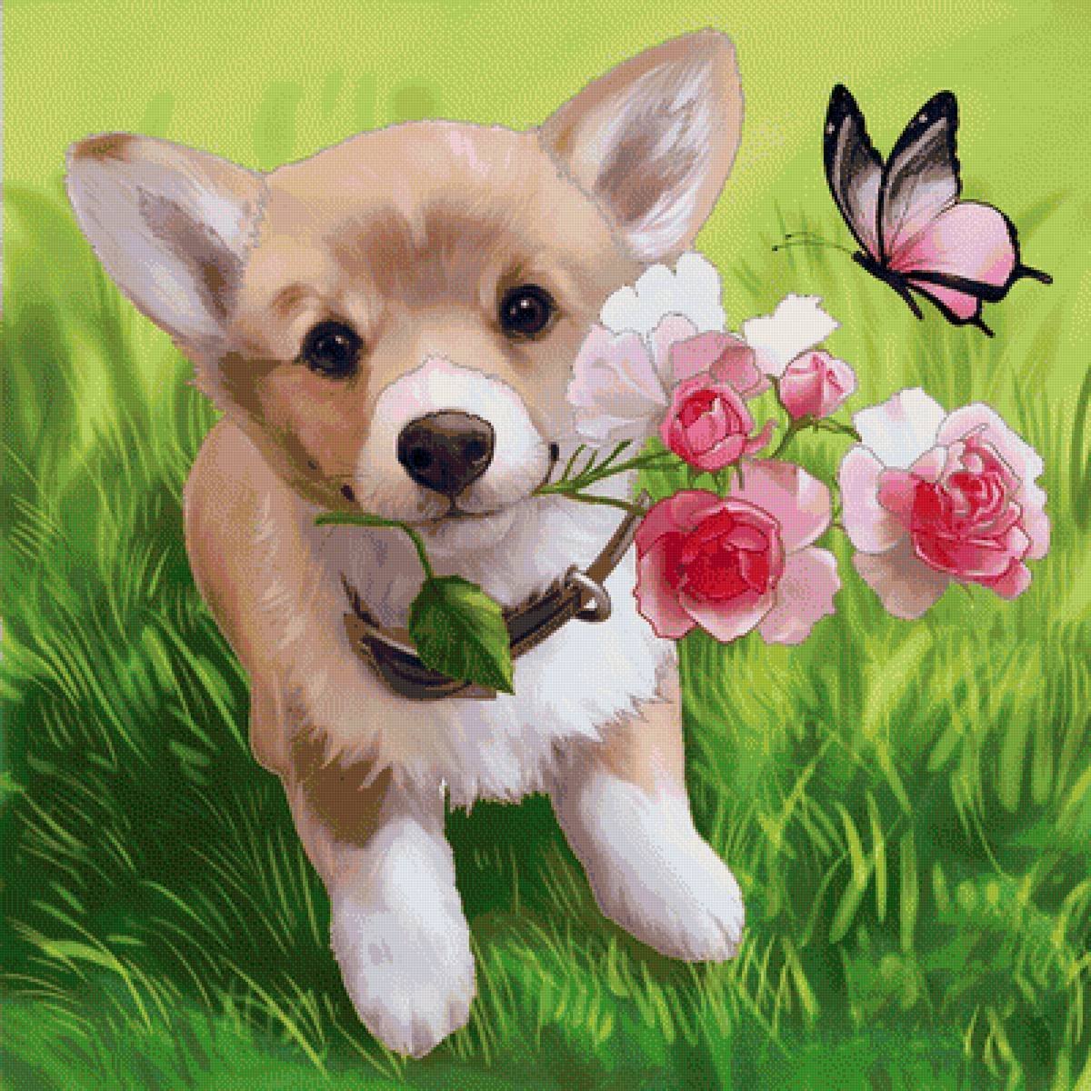 Открытки поздравления со средой