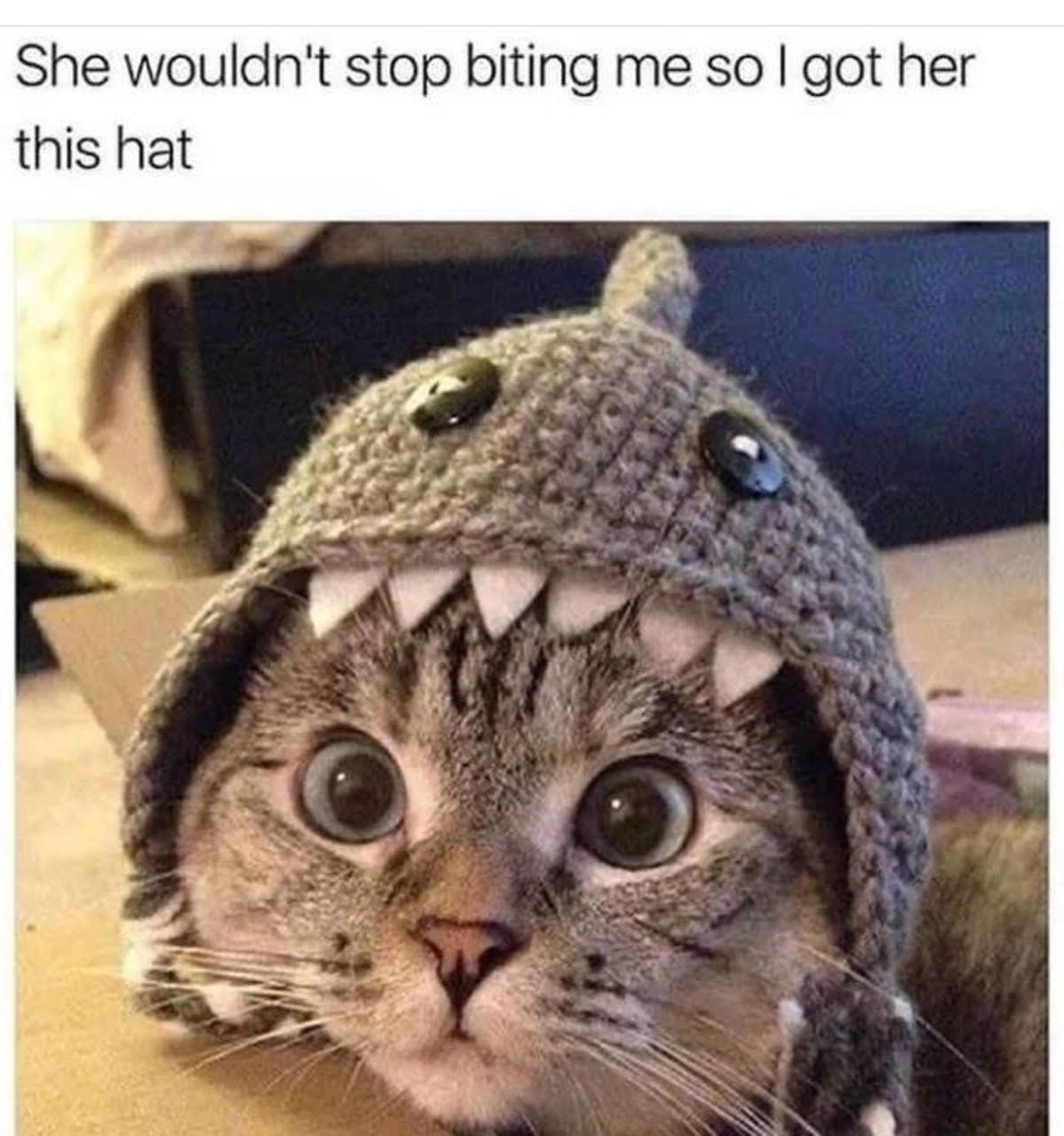 Приколы про лето