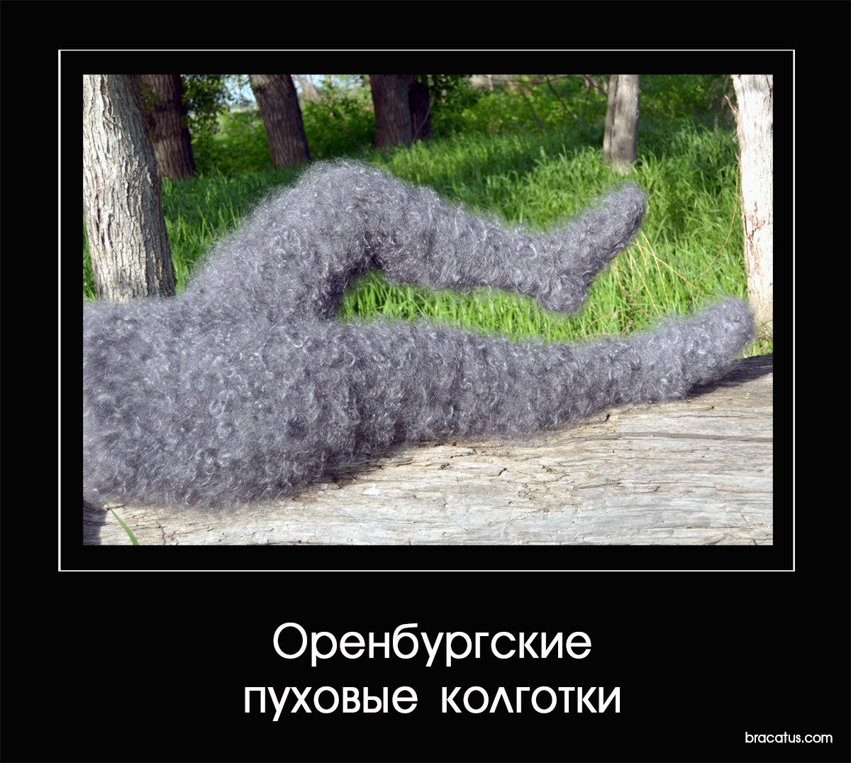 Зимние шутки