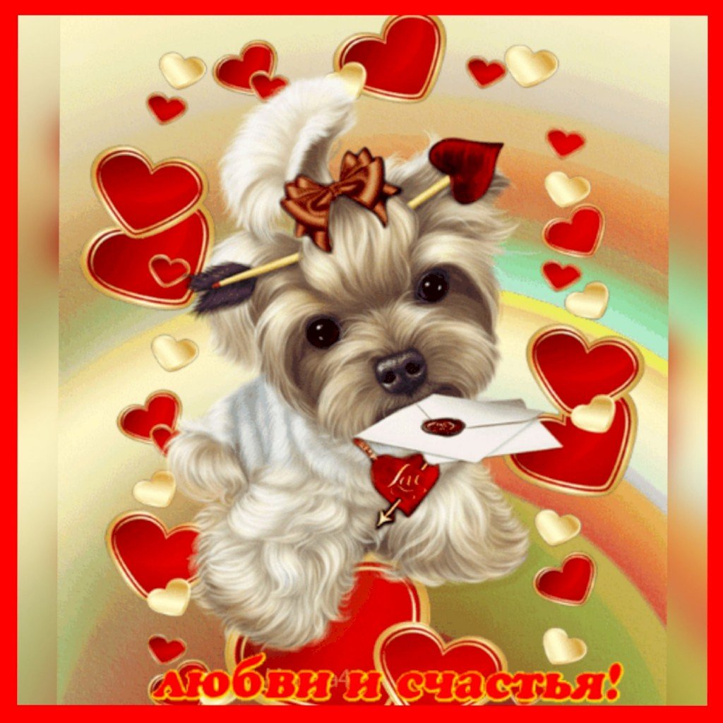 Доброе утро корги