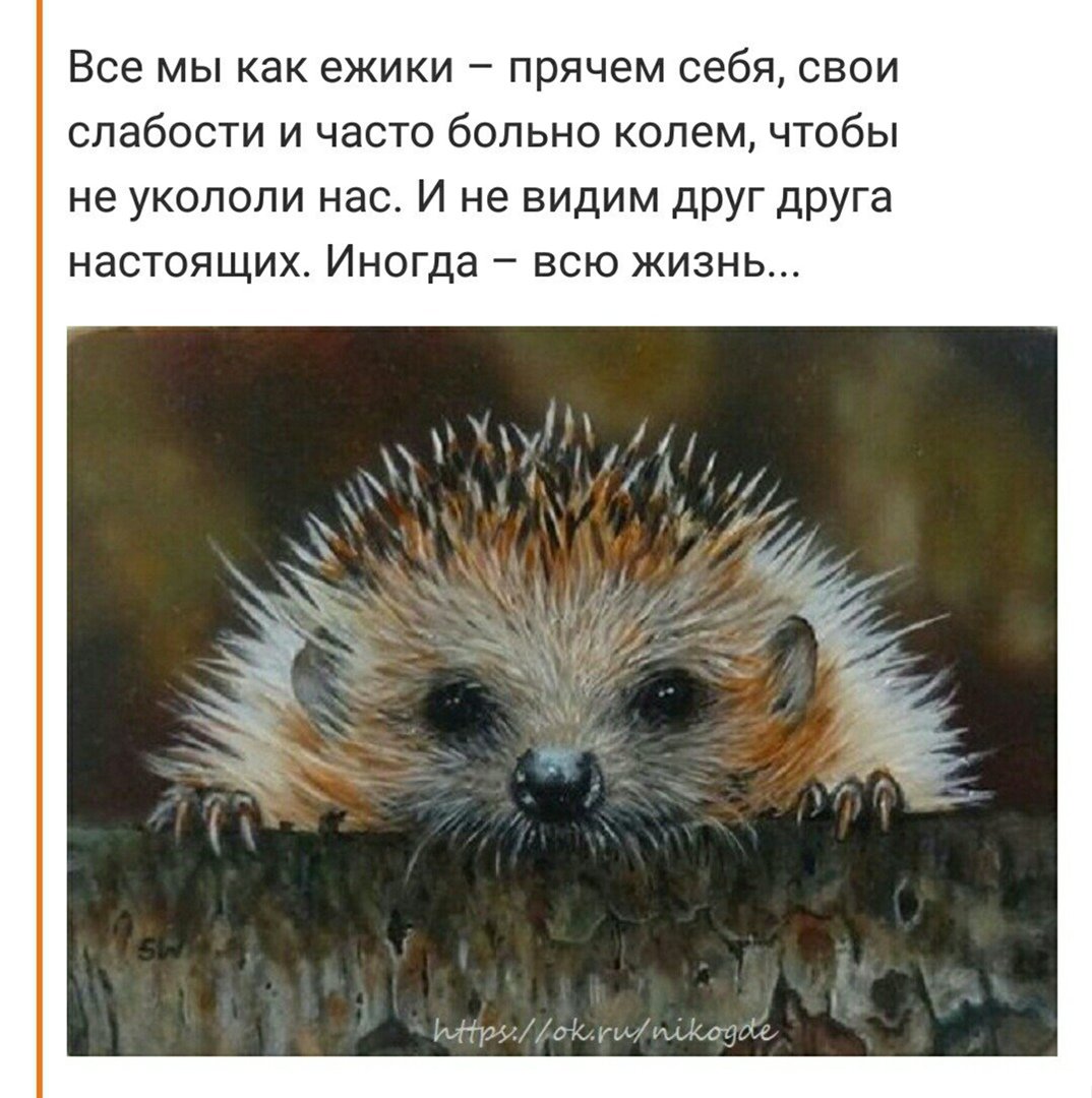 Художник Сью Уорнер Sue Warner