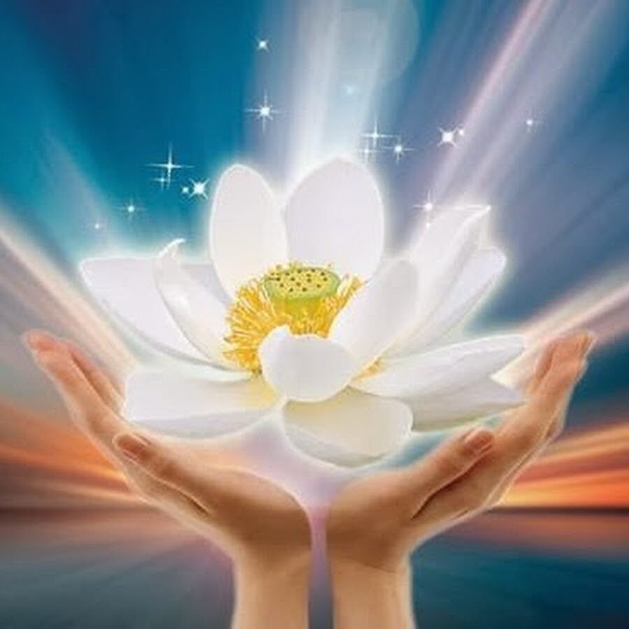 Лотос Божественная любовь Танаис