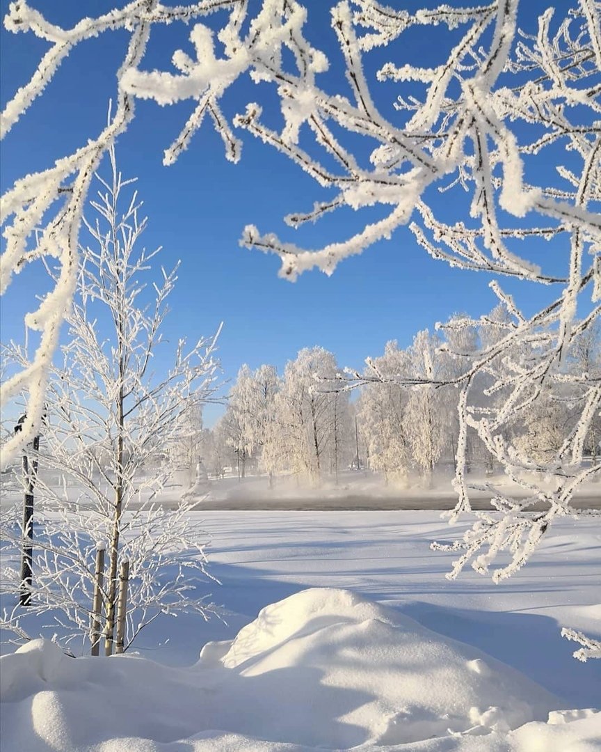 Доброе зимнее утро