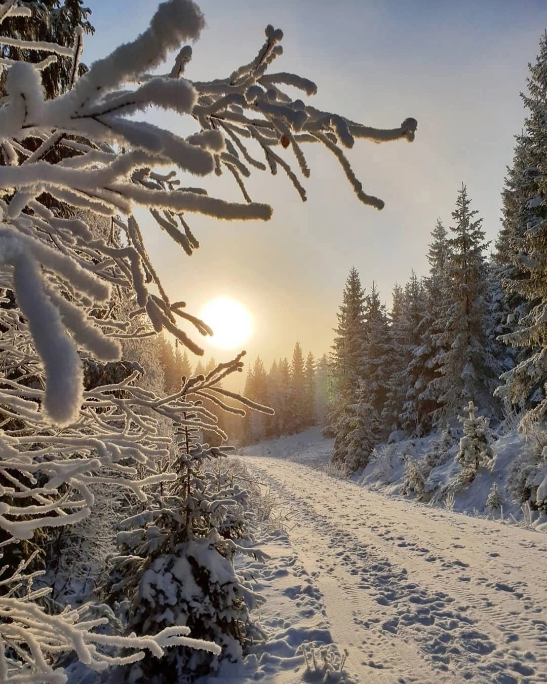 Зима и солнце день чудесный