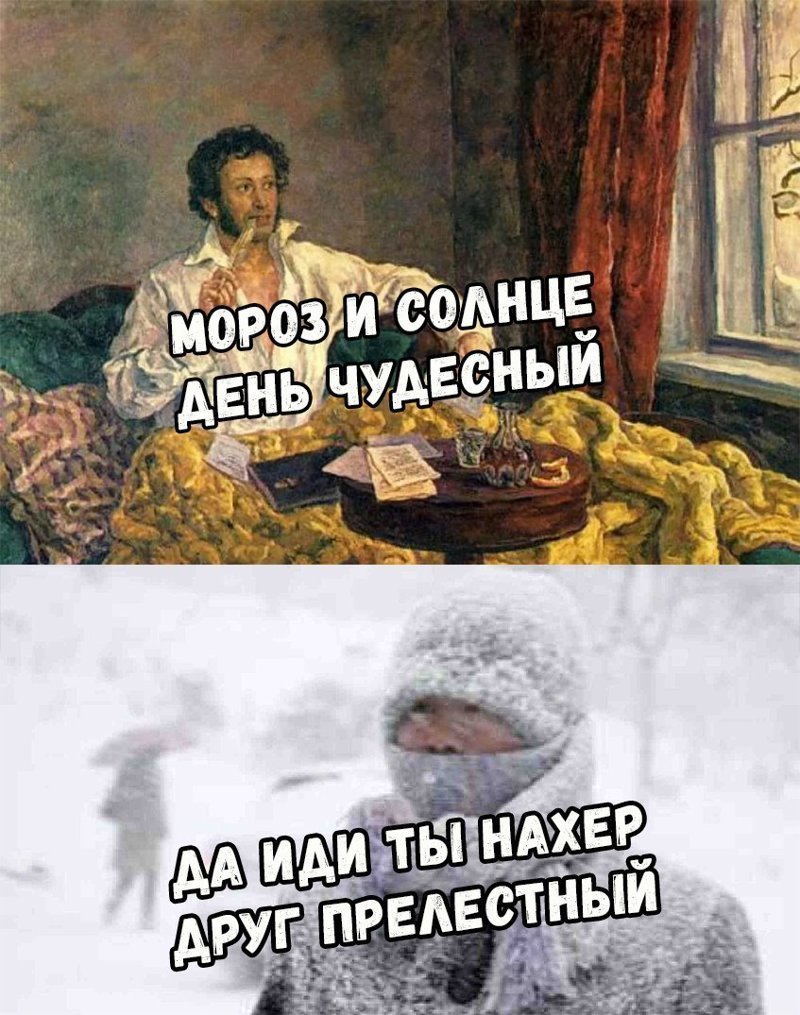 Мороз и солнце день чудесный приколы стихи