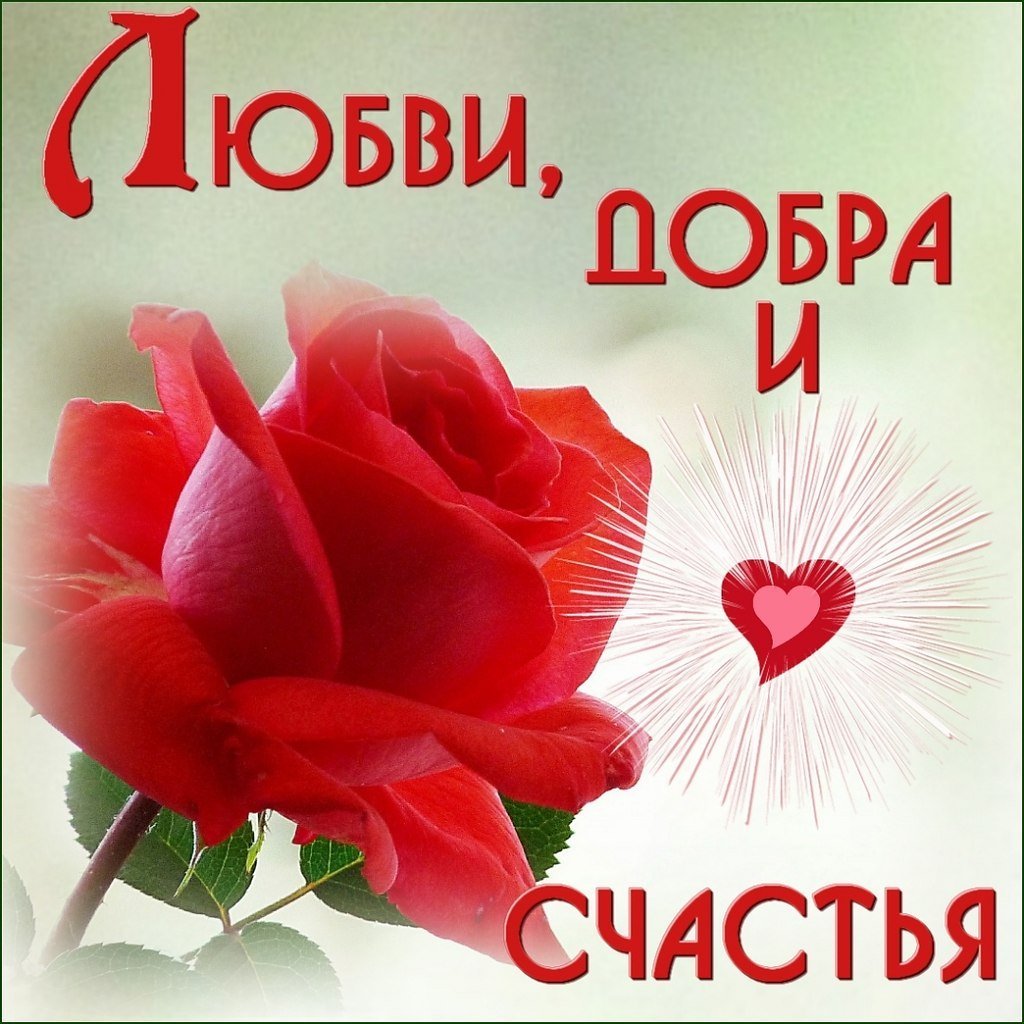 Признание в любви любимому